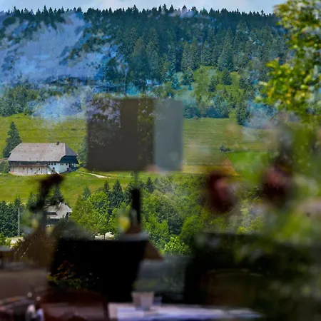 Parkhotel Flora Am 4* Schluchsee