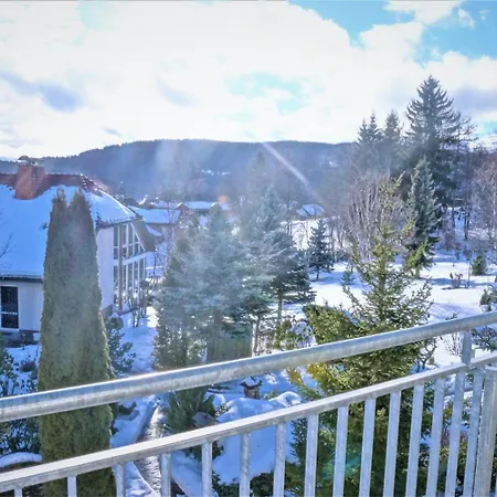 Parkhotel Flora Am 4* Schluchsee