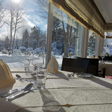 Hotell Parkhotel Flora Am Schluchsee