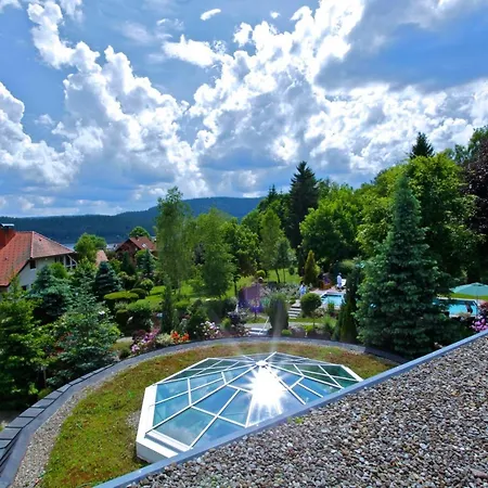 Hotell Parkhotel Flora Am 4*