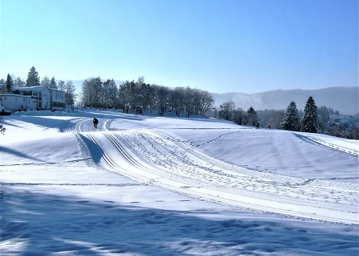 Parkhotel Flora Am Hotell 4*