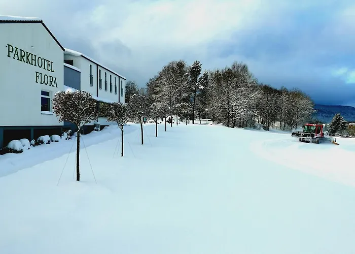 Parkhotel Flora Am Hotel Schluchsee