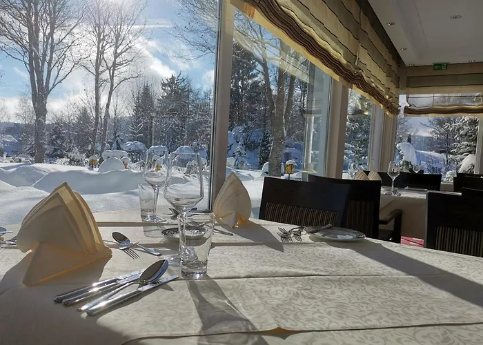 Hotell Parkhotel Flora Am Schluchsee