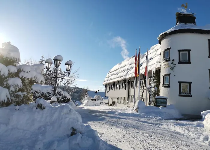 Parkhotel Flora Am 4*